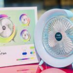 Colorful fan