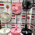 Fan with pole