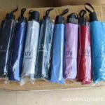 Portable umbrella