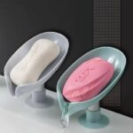 Soap case 2